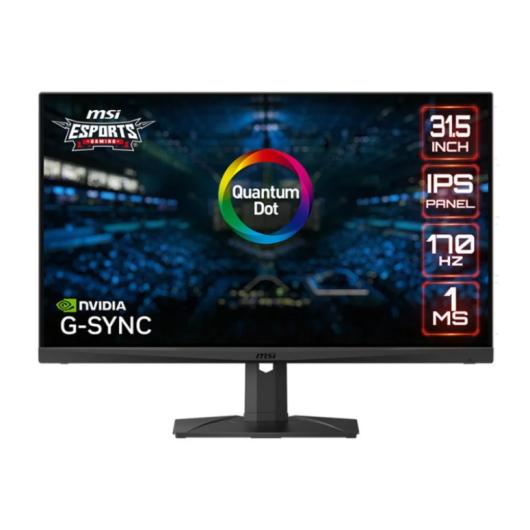 MONITOR GAMING 31.5 MSI MAG321QR-QD NEGRO